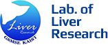 KAIST KLLR